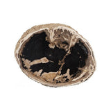 Tabouret Bois Fossilisé - Crème Naturel - vue 4