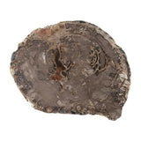 Socle Bois Pétrifié - Pièce Unique Naturelle - vue 2