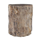 Socle Bois Pétrifié - Pièce Unique Naturelle - vue 3