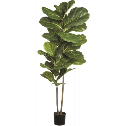 Ficus lyrata artificiel 63''