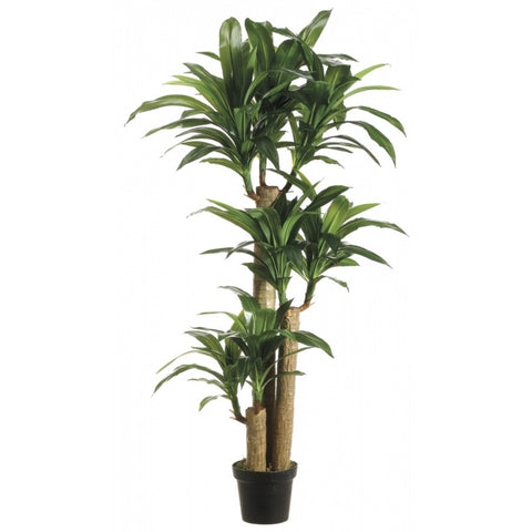 Ficus benjamina artificiel 120''