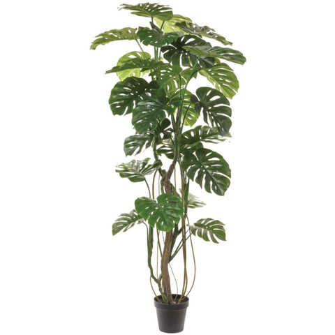 Monstera deliciosa artificiel | 82''