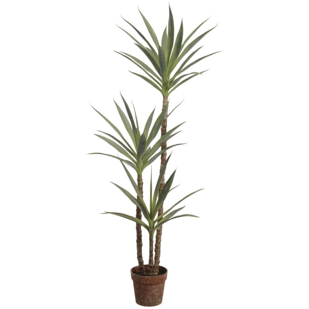 Yucca artificiel 59''